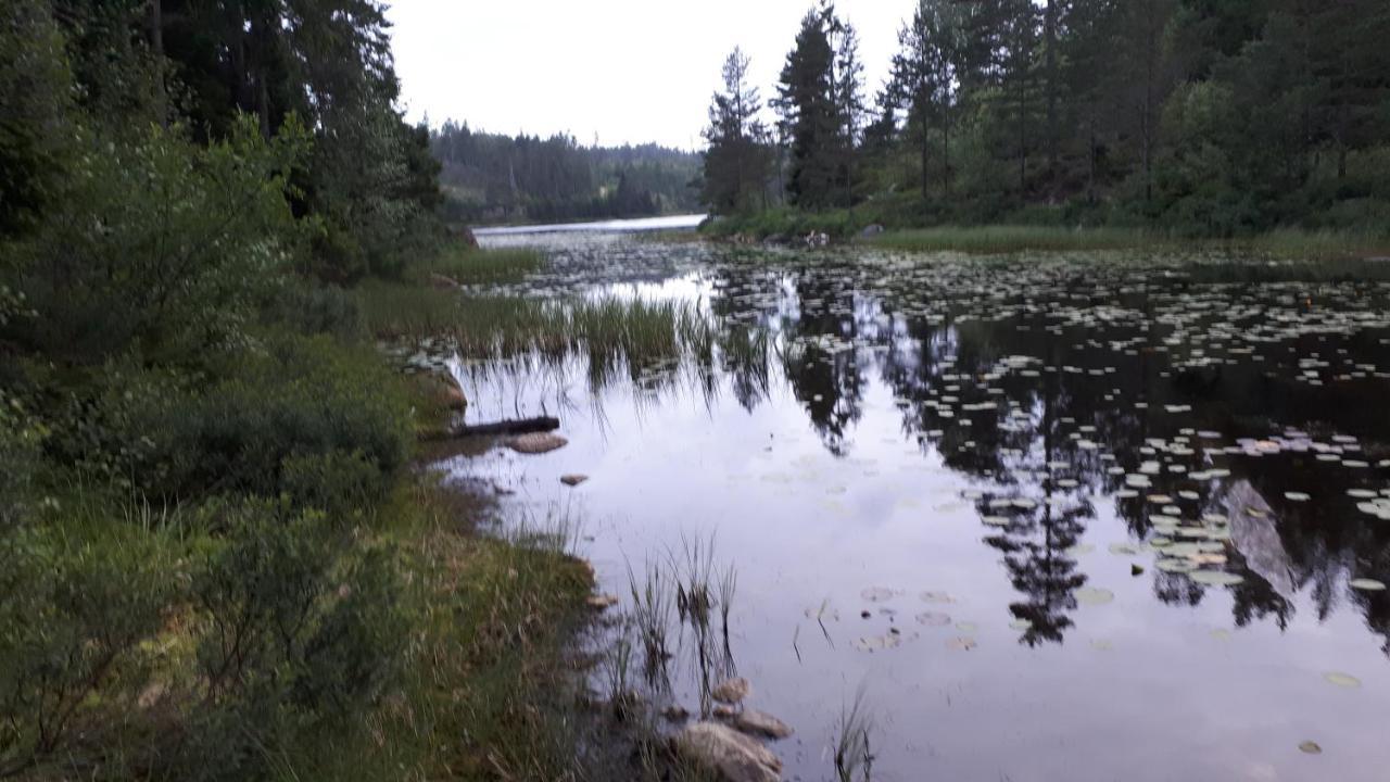 Granheim Med 2 Soverom Lodge Birkeland